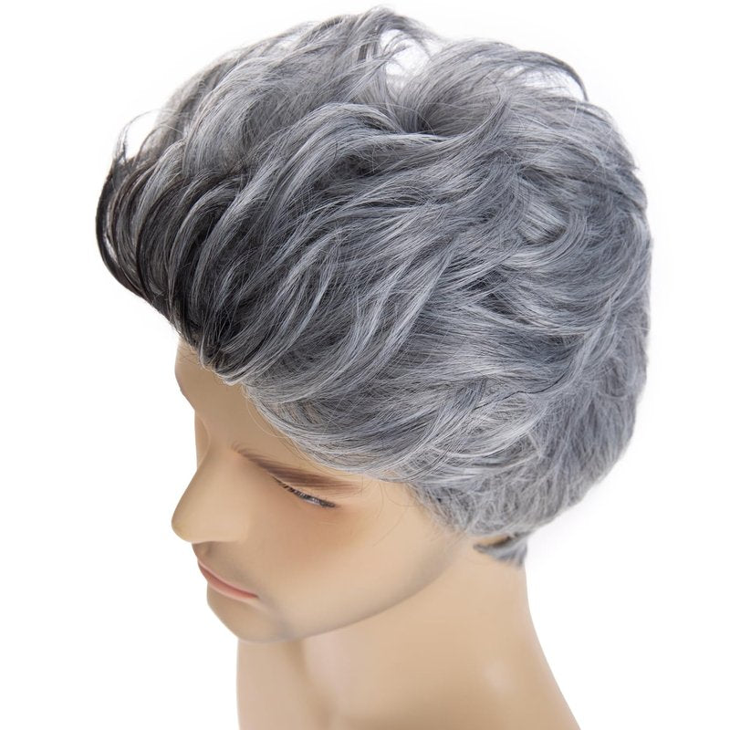Beweig Men Wigs Short Gray Wig Synthetic Heat Resistant Natural Halloween Cosplay Hair