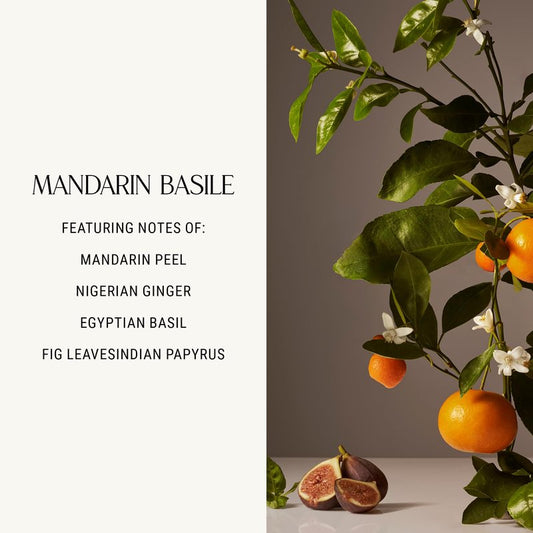 Homecourt Hand Wash, Gently Cleanses & Hydrates, Removes Dirt & Debris Without Irritating Skin, Clean Formula, Mandarin Basile, 12 fl oz, 2.0