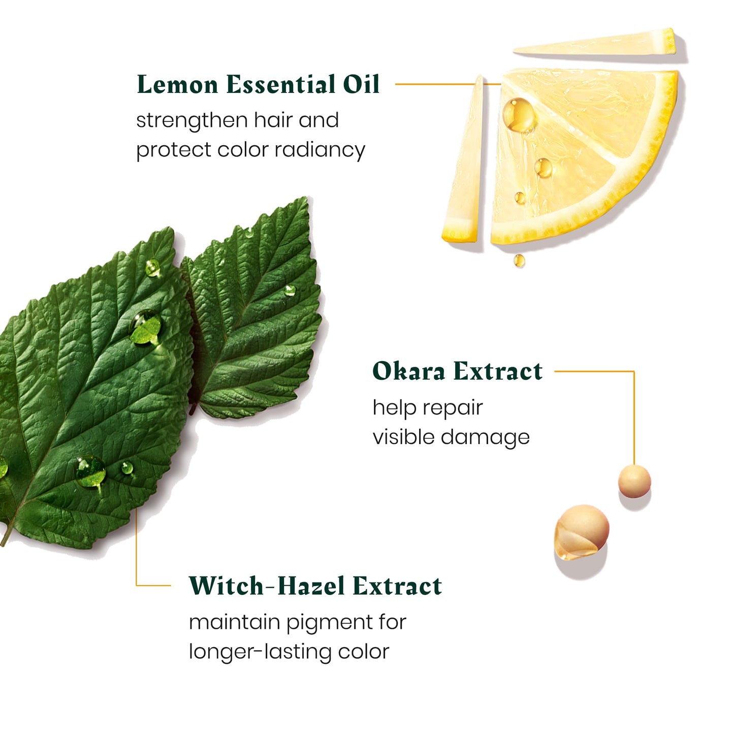 René Furterer Color Glow Protecting Color Shampoo - Amino Acids & Lemon Essential Oil 6.7 fl oz.
