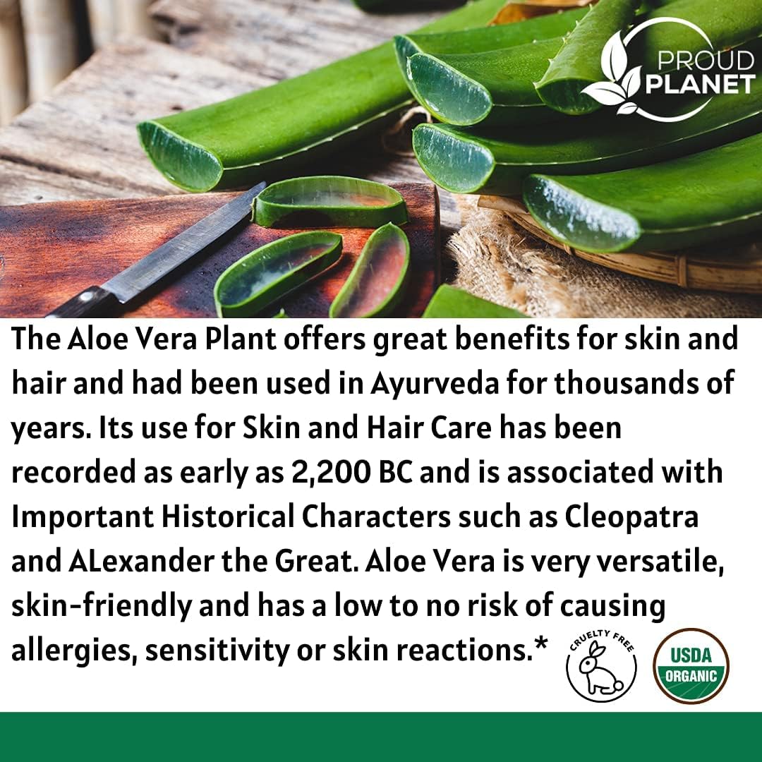 Organic Aloe Vera Powder - USDA Certified Aloe Barbadensis for Hair & Face | 2 Pounds