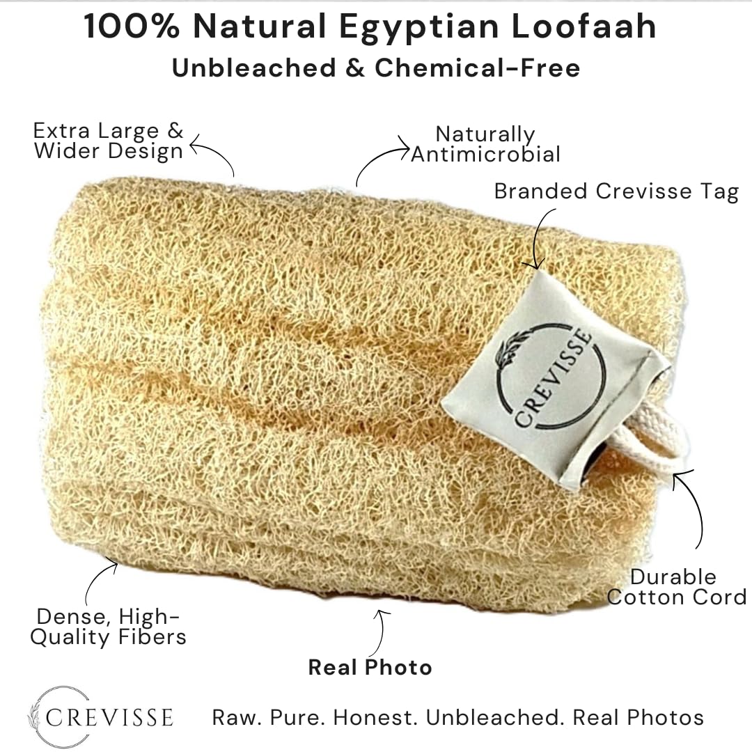 Crevisse Natural Egyptian Loofah Sponge – Exfoliating Shower Body Scrubber (Pack Options) (3 Count (Pack of 1))