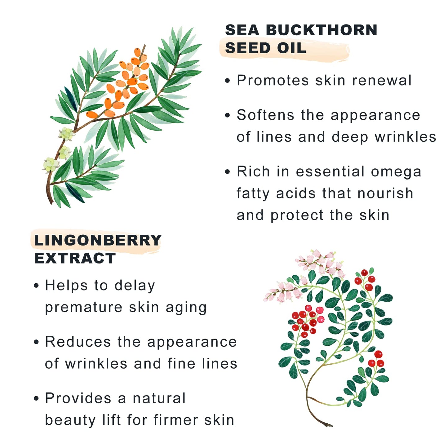Lumene Nordic Bloom Anti-Wrinkle Firming V-Shape Serum Lingonberry 30 ml
