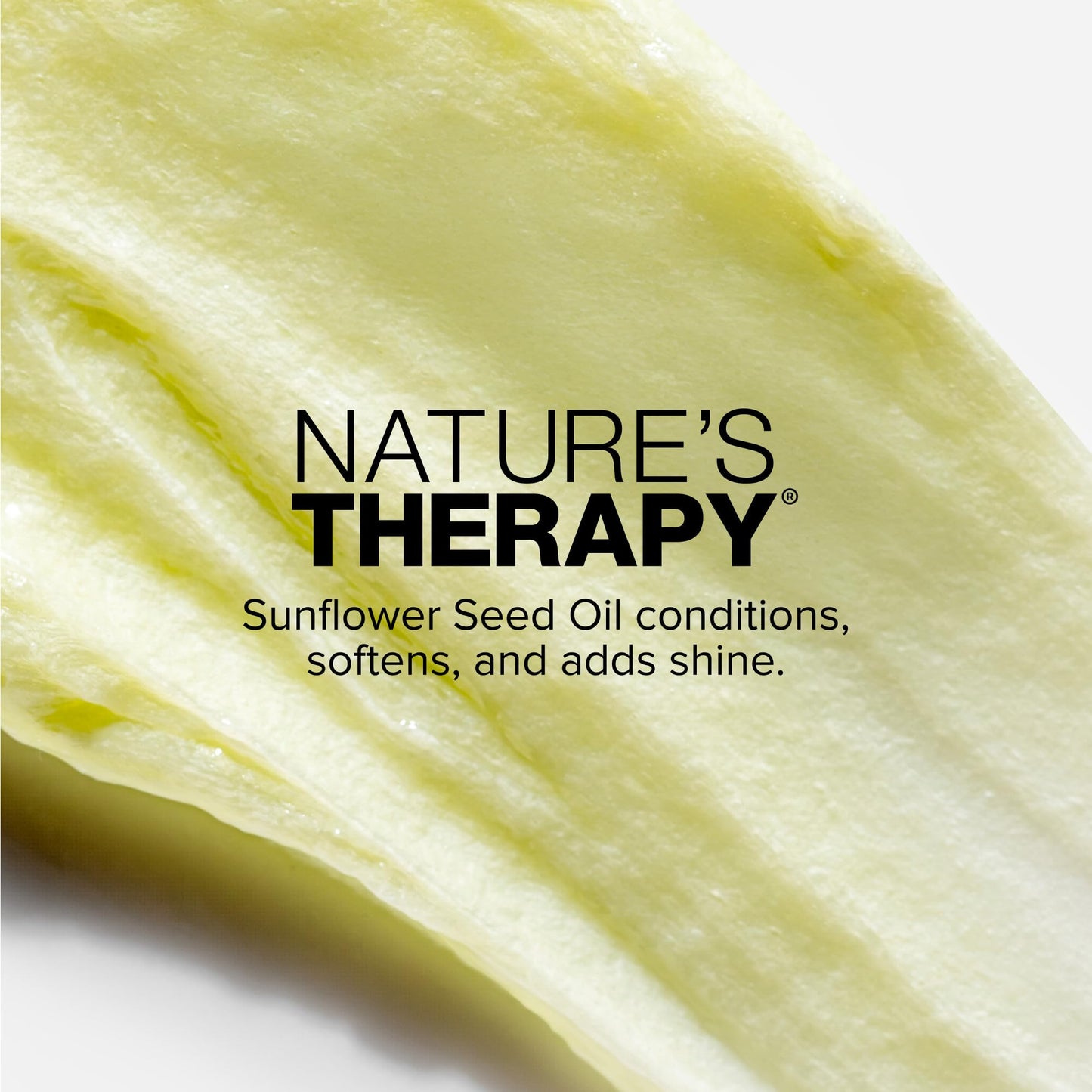 L'Oréal Technique Nature's Therapy Mega Moisture Hair Mask - Deep Conditioning & Detangling Crème, Softens and Adds Hair Shine With Botanical Extracts, For All Hair Types