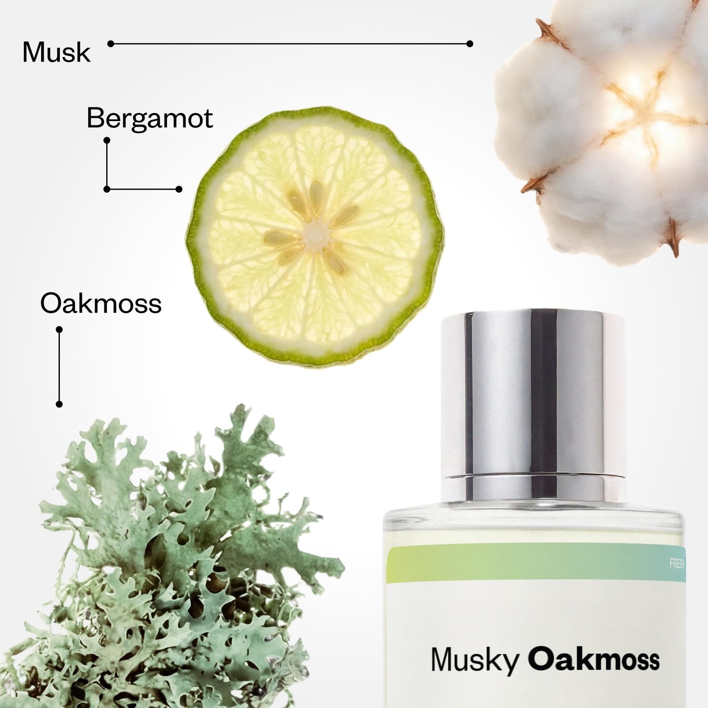 Dossier - Musky Oakmoss - Eau de Parfum - Inspired by Aventus - Long-Lasting Fragrance - Masculine - 1.7 fl oz (50ml)