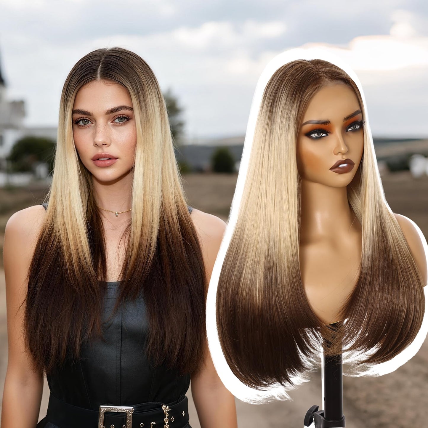 Worldnewhair Blonde to Brown Ombré Siamese Cat Style Synthetic Wig 26 Inch - 13x4 HD Lace Front Wigs for Women, Pre Plucked Pre Cut Long Straight Heat Resistant Fiber Pre-styling Hair for Daily