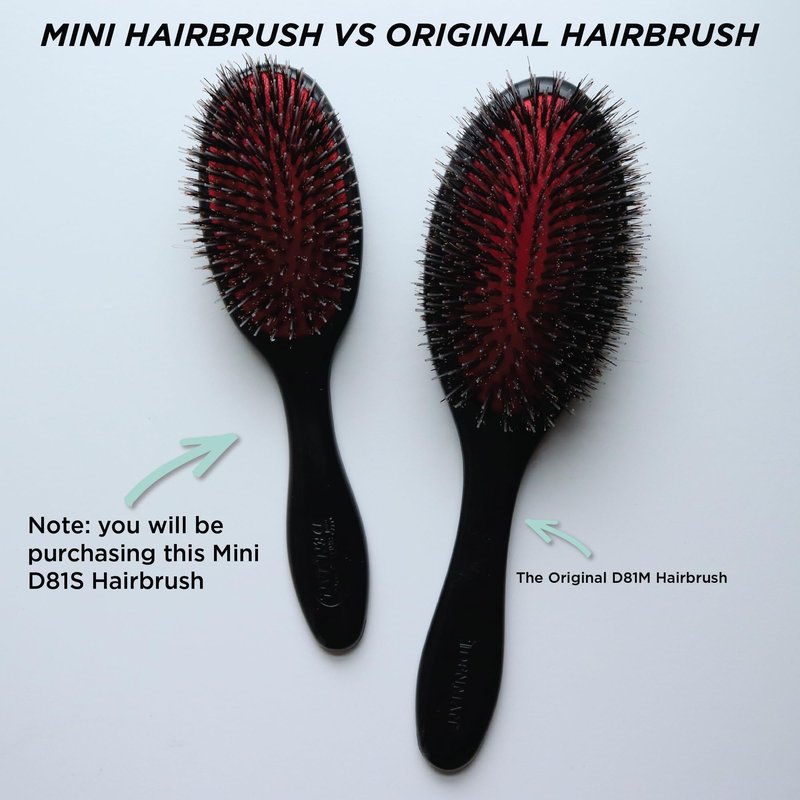 Denman Cushion Hair Brush (Small) with Soft Nylon Quill Boar Bristles - Porcupine Style for Grooming, Detangling, Straightening, Blowdrying and Refreshing Hair – Black, D81S