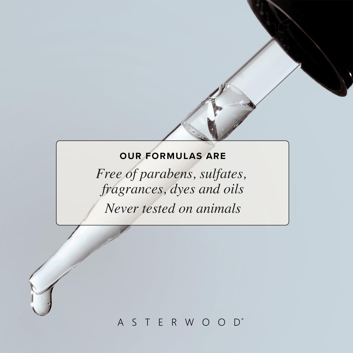 Asterwood Niacinamide Serum 1 oz + Copper Peptides Serum 1 oz