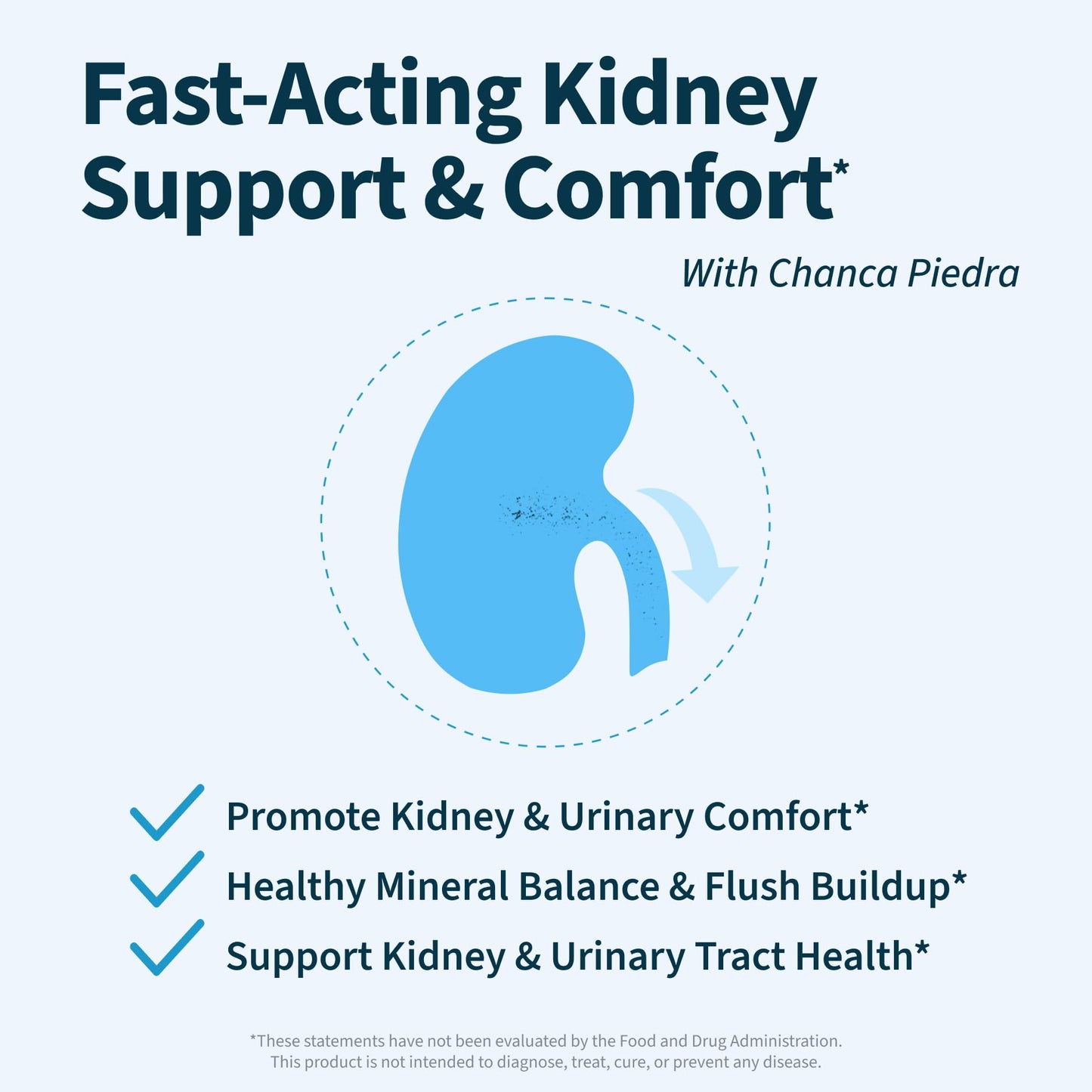 Renavive Kidney Cleanse - Premium Kidney Support Supplement with Chanca Piedra Stone Breaker - Supports Natural Cleansing & Urinary Tract Health - 60 Capsules