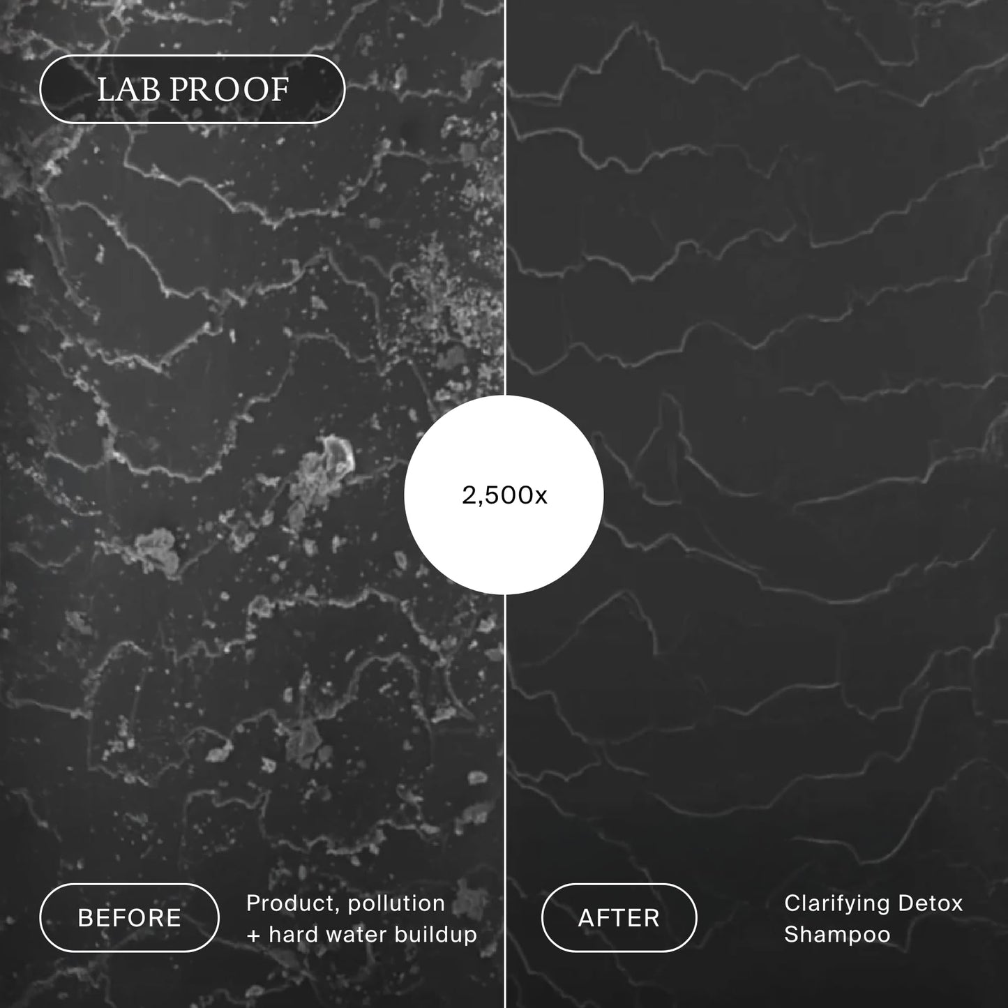 Living Proof Clarifying Detox Shampoo