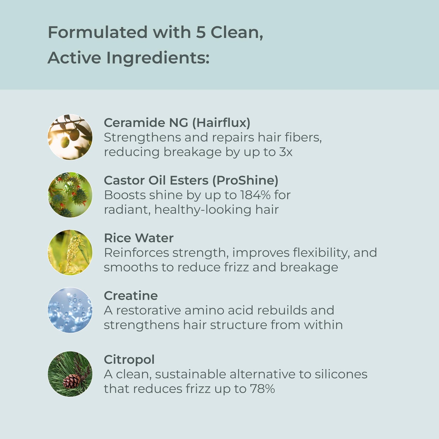 EVOLVh - Natural UltraShine Moisture Shampoo | Vegan, Non-Toxic, Clean Hair Care (8.5 fl oz | 250 mL)