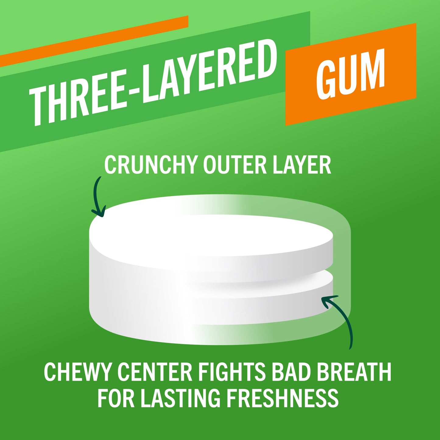 TheraBreath Chewing Gum with ZINC Citrus Mint 10 Count Pack of 6 and Mild Mint Oral Rinse 3 Fl Oz Pack of 6