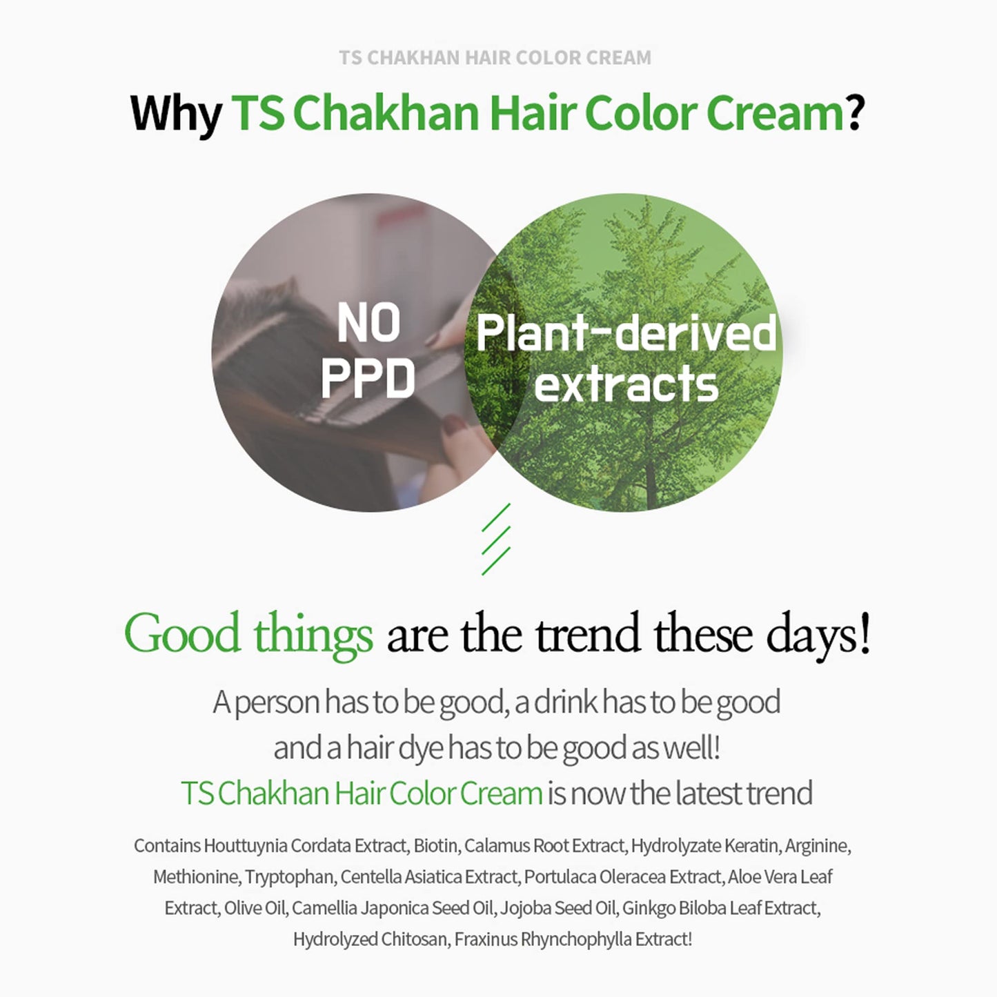 【 Pack of 2 】 TS Chakhan Hair Color Cream, Permanent Hair Dye for Grey Coverage, PPD free, Ammonia Free (No7. Light Brown)