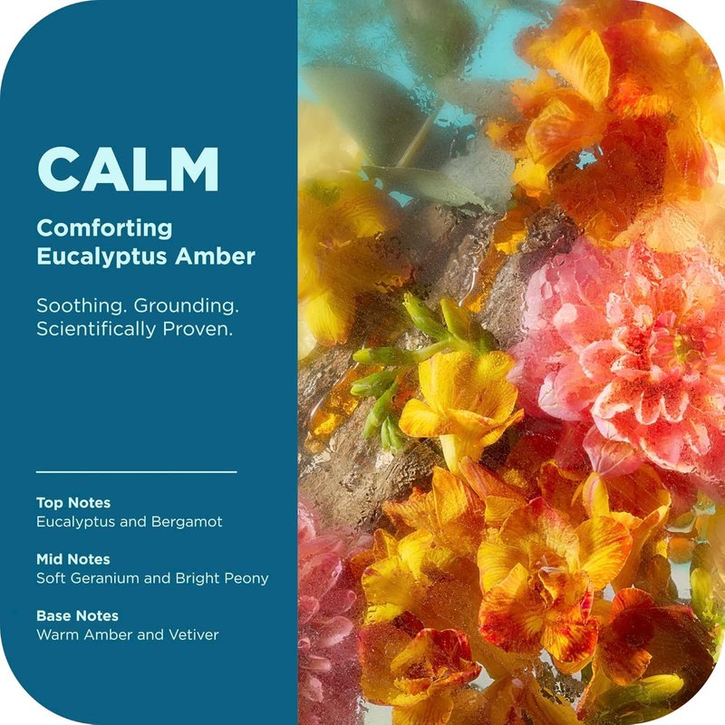 OLLY Calm Body Care Holiday Bundle - Nourishing Body Wash & Lotion-Serum with Hyaluronic Acid | Eucalyptus Amber Scent, 17oz & 8oz