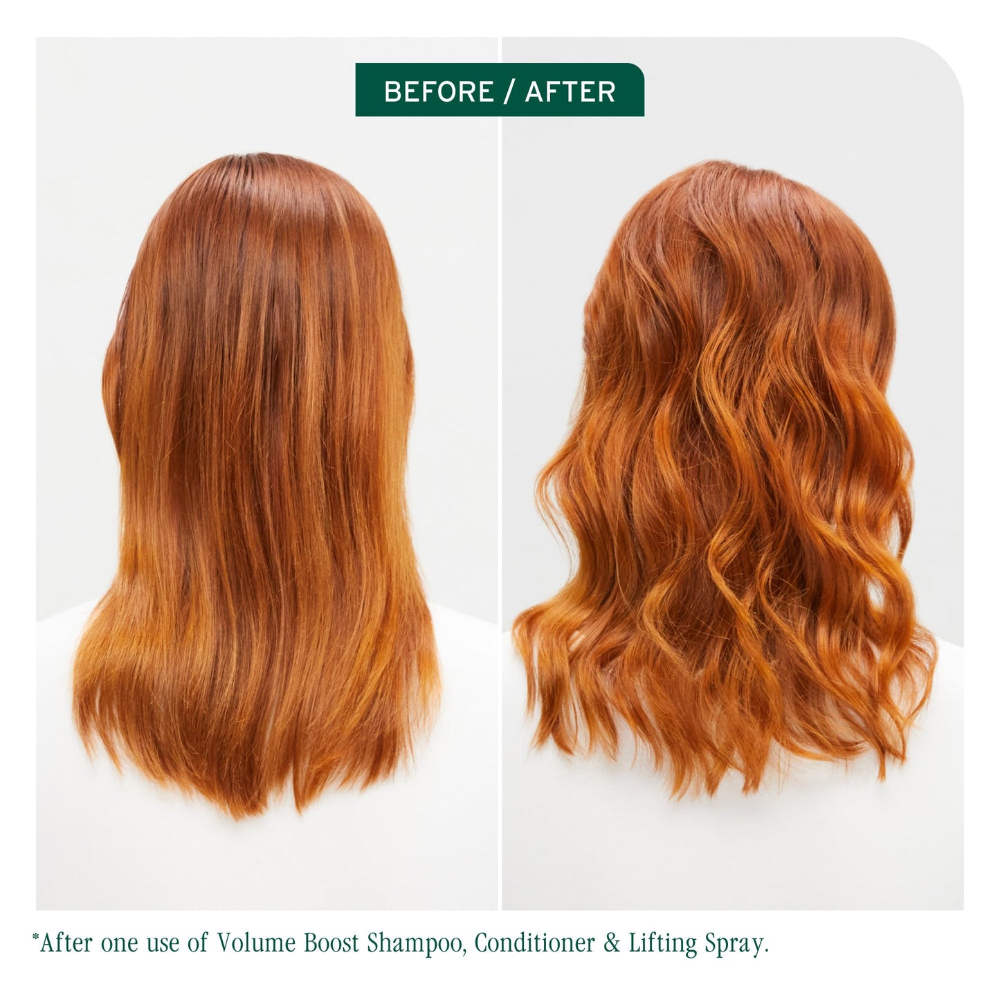 Biolage Volume Boost Volumizing Spray - Adds Bounce, Movement & Fullness, Root Lift Spray for Fine Hair, Soy Protein & Polymers, Paraben-Free & Vegan, 8.4 Fl Oz