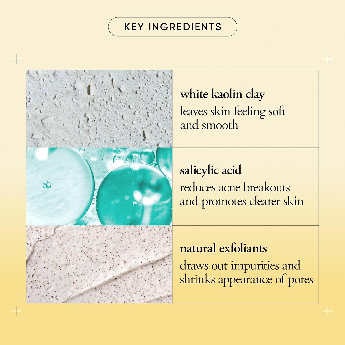 Purity Made Simple Pore Extractor Clay Face Mask - White Kaolin Clay & Salicylic Acid | Reduces Pores & Impurities