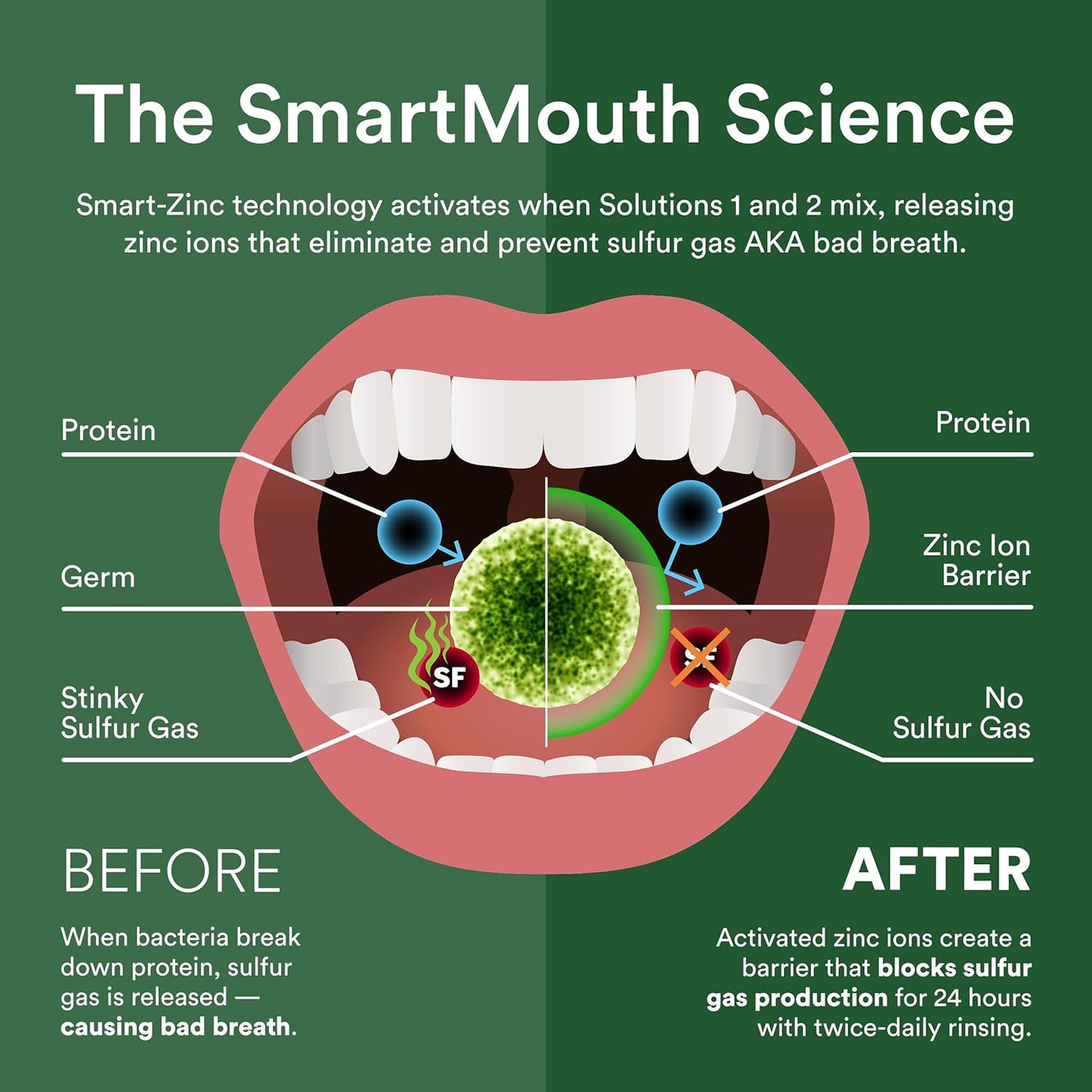 SmartMouth Original Mouthwash - Activated Formula for Bad Breath Support | Mint Flavor (Pack of 2)