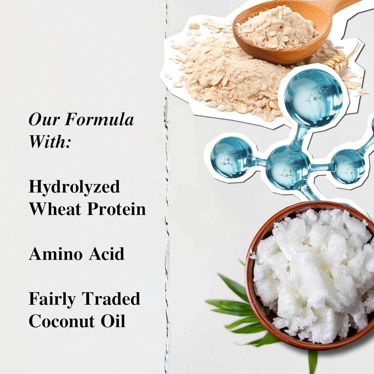 Kiehl's Amino Acid Shampoo - Strengthening Formula with Coconut Oil | Paraben-Free, All Hair Types