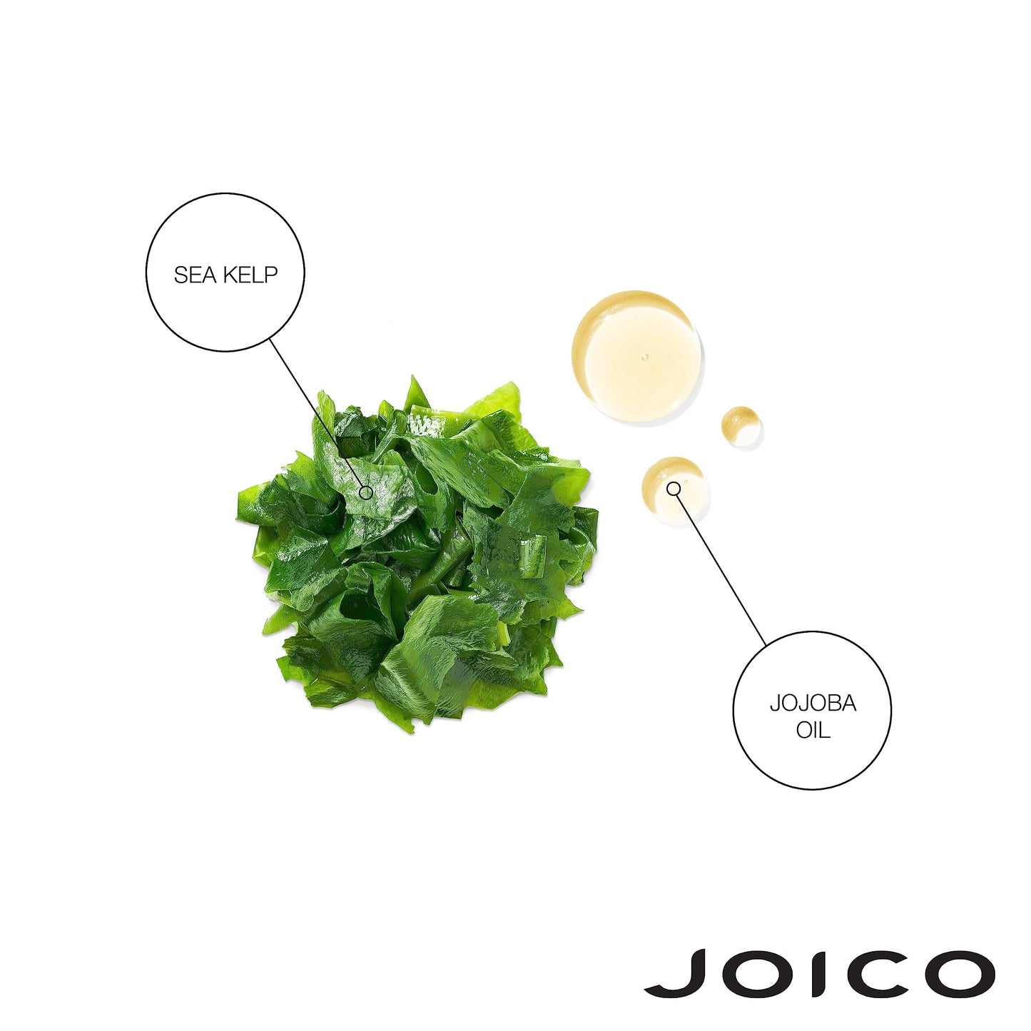 Joico Moisture Recovery Moisturizing Set | For Thick, Coarse, Dry Hair | Restore Moisture, Smoothness, Strength, & Elasticity | Reduce Breakage | With Jojoba Oil & Shea Butter