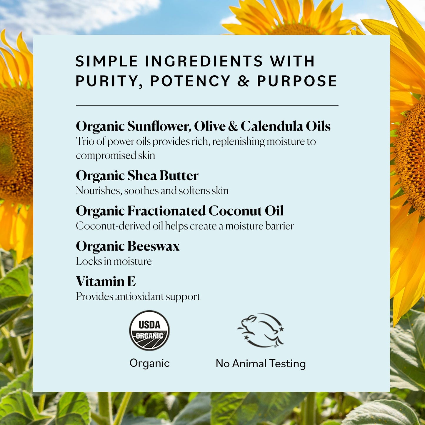 Rosemary Oil with Strong Roots & Petroleum-free Jelly
