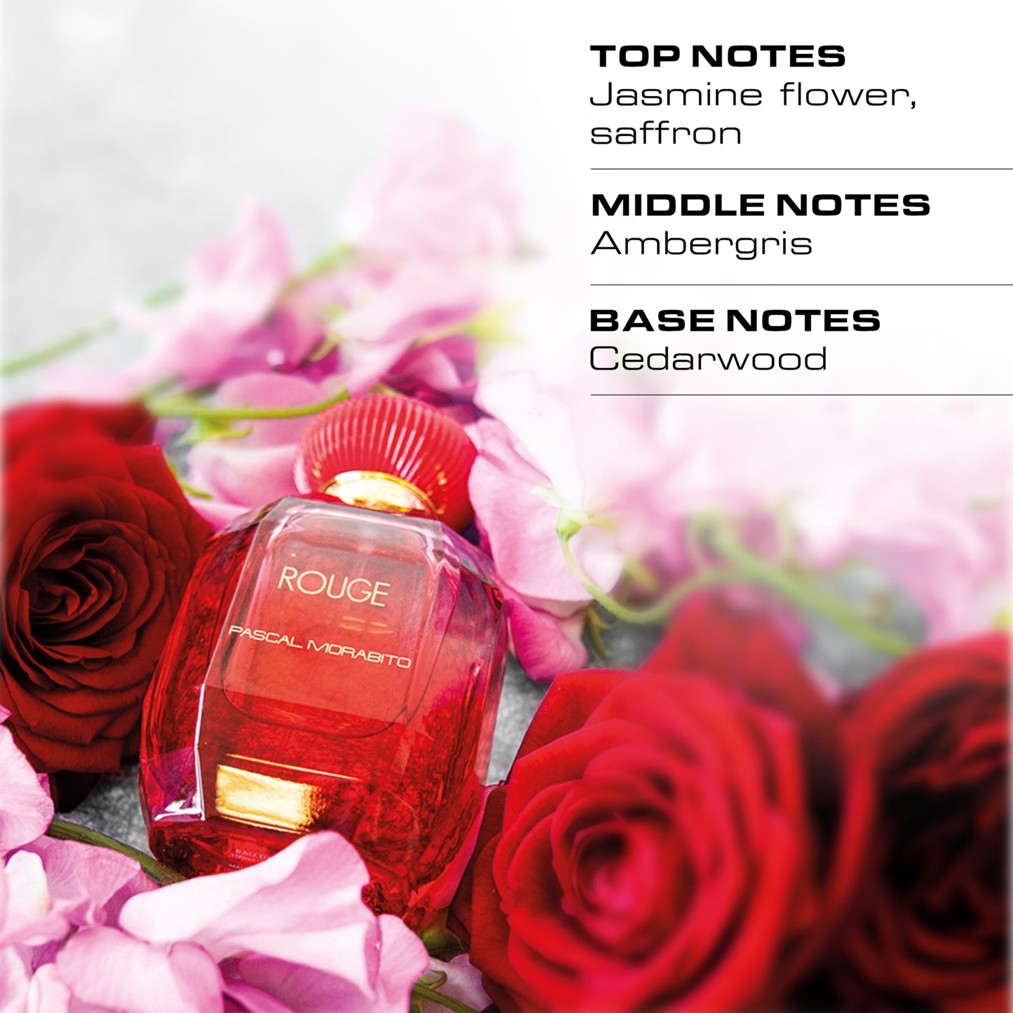 Rouge by Pascal Morabito - Perfume for Women - Fragrance - 3.3 oz EDP Spray