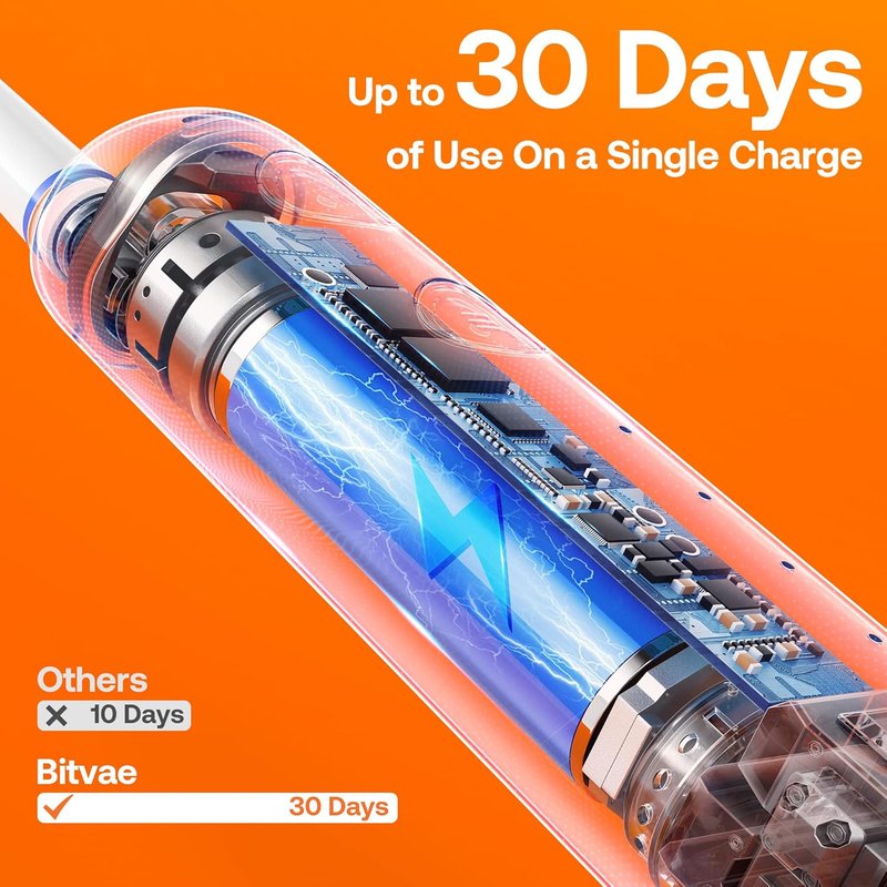 Bitvae R2 Rotating Electric Toothbrush - 8 Brush Heads, 5 Modes, Rechargeable | Black, Travel Case Included