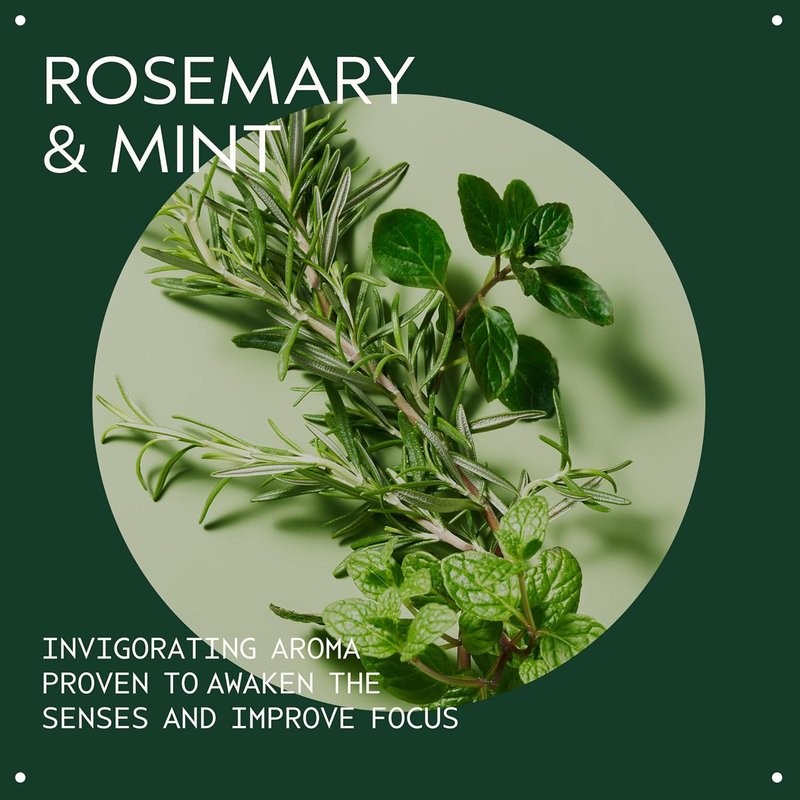 Aveda Rosemary Mint Purifying Shampoo - Clarifying Formula for Normal to Oily Hair | 97% Naturally Derived, Invigorating Aroma