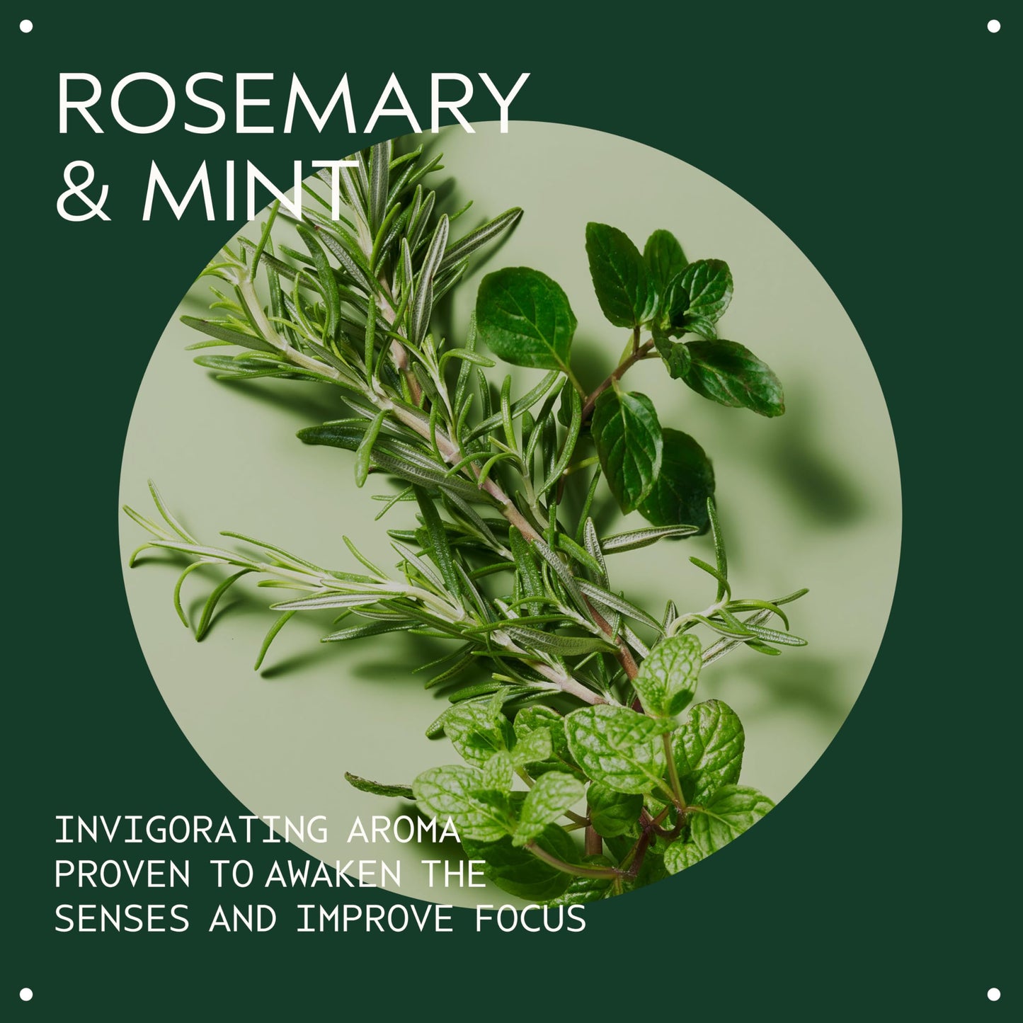 Aveda Rosemary Mint Weightless Conditioner | Lightweight Daily Conditioner | Adds Body & Shine| For Normal to Oily Hair, Fine to Medium Hair | Invigorating Aroma | 97% Naturally Derived*, 8.5 Fl Oz