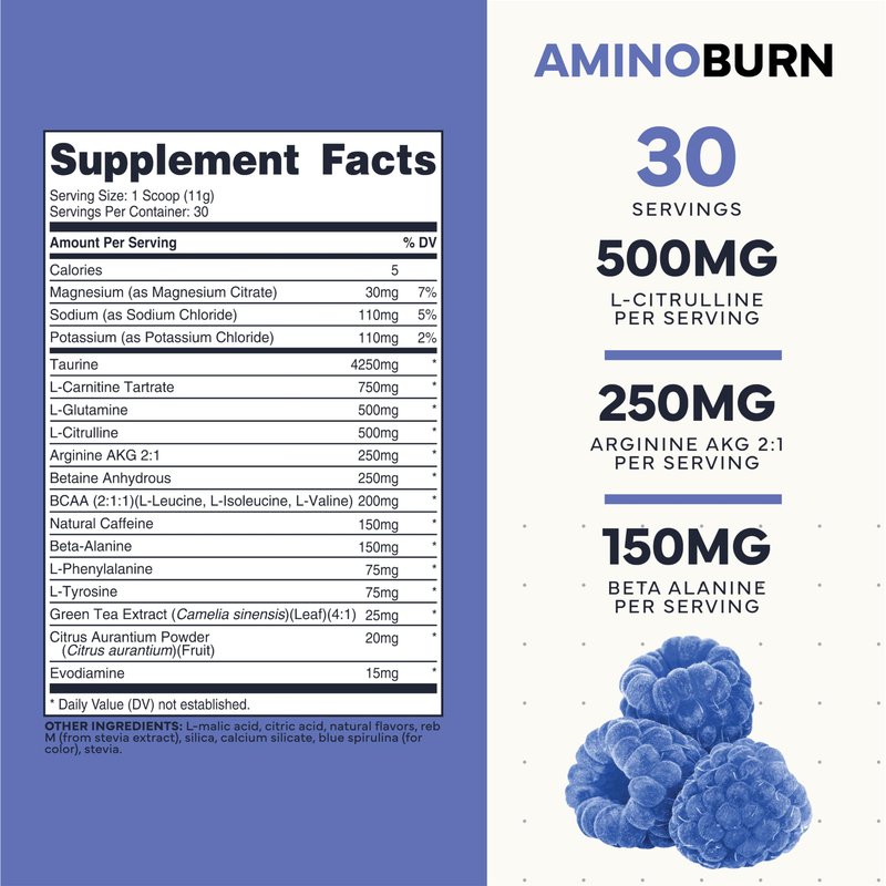 Type Zero Amino Burn - Vegan BCAA + Clean Pre Workout Powder with Arginine AKG, L-Citrulline & Beta Alanine - Amino Acid Clean Energy, Endurance & Hydration Supplement - Blue Raspberry, 30 Servings