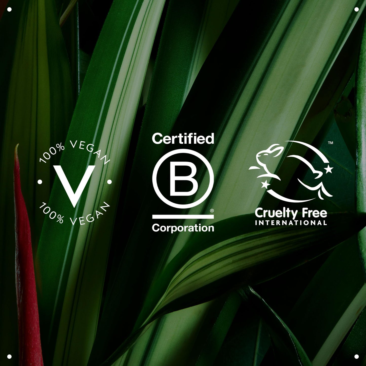 Aveda Botanical Kinetics Instant Luminizer | Exfoliating & Brightening Serum with Plant-Derived AHAs | for All Skin Types | 99% Naturally Derived*, 1 Fl Oz