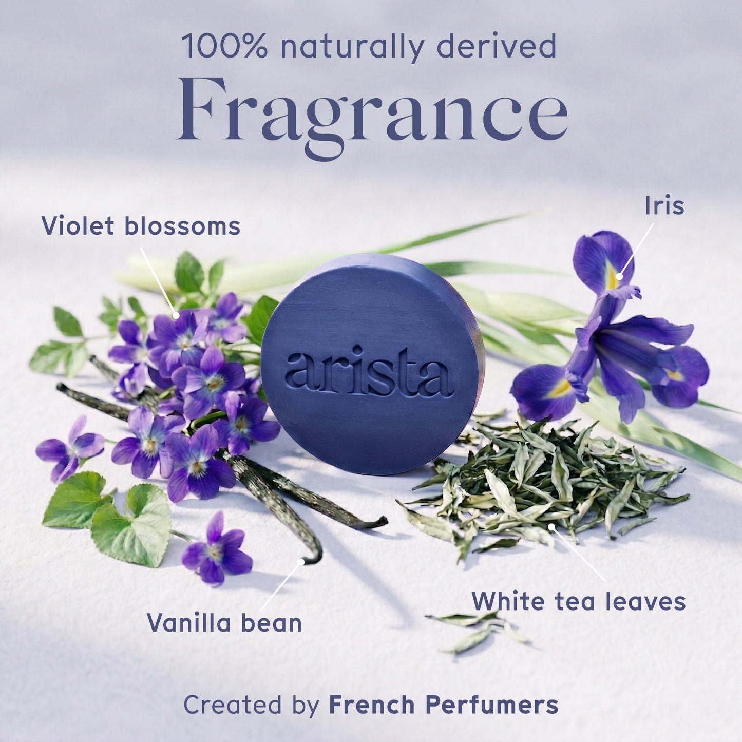 Arista Purple Shampoo Bar, Amla Fruit Powder, Purple Toner & Castor Oil, Moisturizing & Plastic Free Hair Soap, Sulfate Free Solid Shampoo Puck for Grey Hair