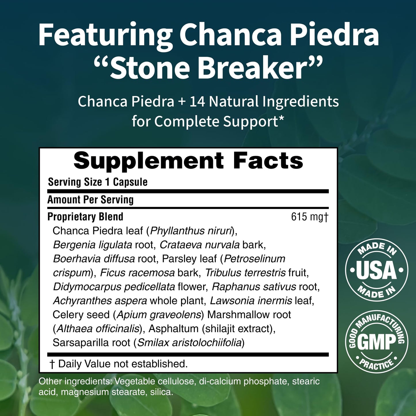 Renavive Kidney Cleanse - Premium Kidney Support Supplement with Chanca Piedra Stone Breaker - Supports Natural Cleansing & Urinary Tract Health - 60 Capsules
