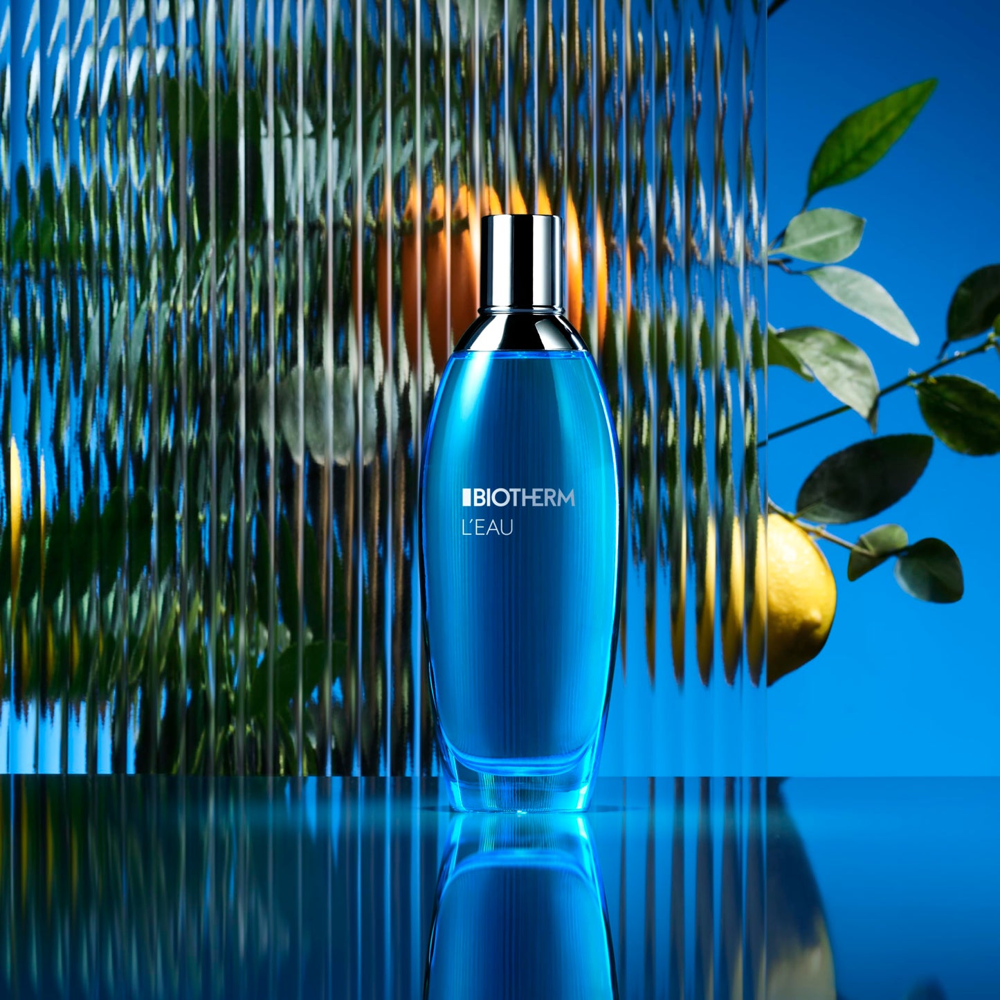 Biotherm L'Eau Fragrance of Lait Corporel, Refreshing Body Mist with Citrus Essences and Biotech Plankton, Energizing Body Spray for Women to Hydrate and Tone Skin with a Fresh Scent, 3.4 Fl. Oz.