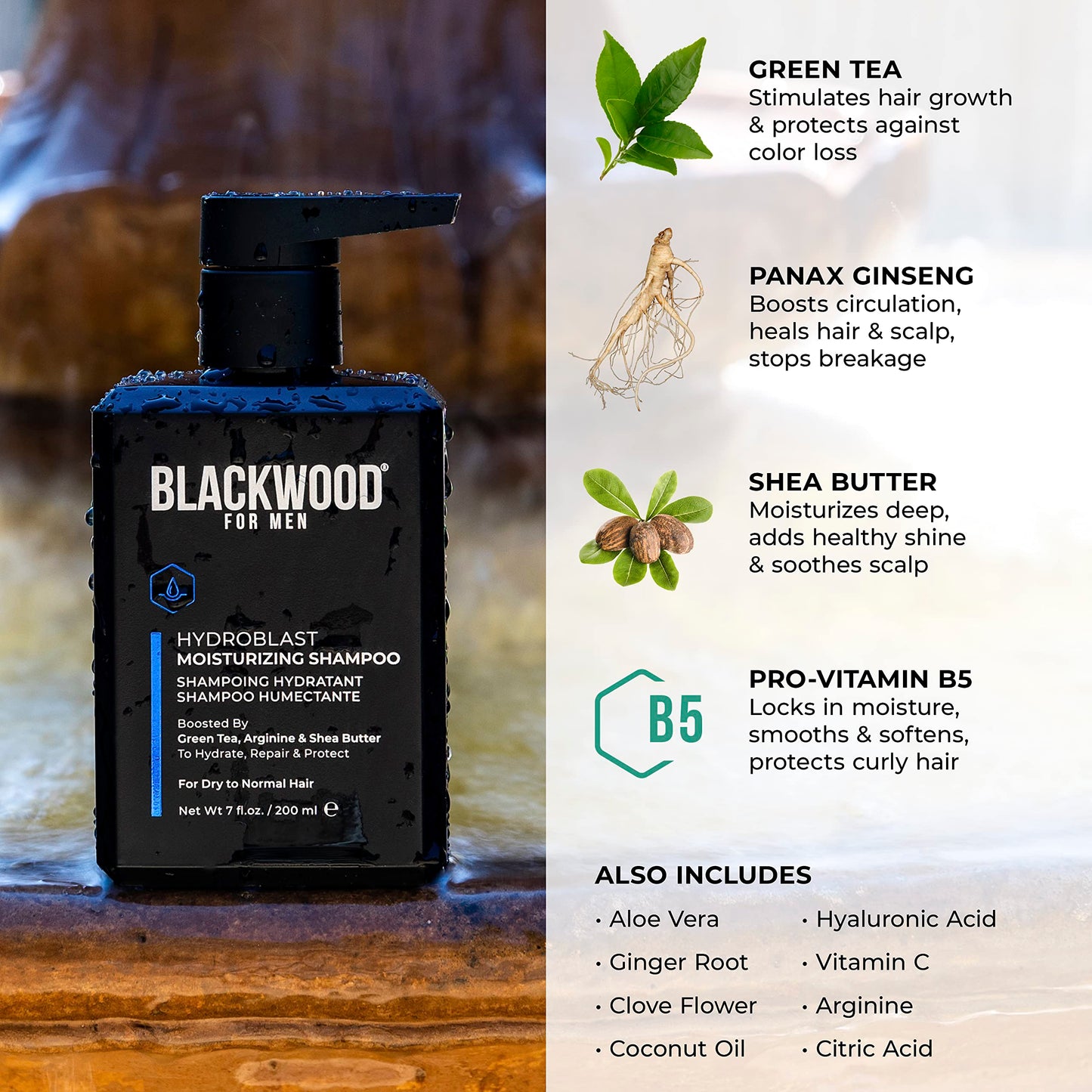 Blackwood For Men Hydroblast Moisturizing Shampoo - Men's Shampoo for Coarse, Dry, & Curly Hair-Infused with Ginseng & Ginger - Natural Vegan Formula -Sulfate Free, Paraben Free & Cruelty Free (7 Oz)