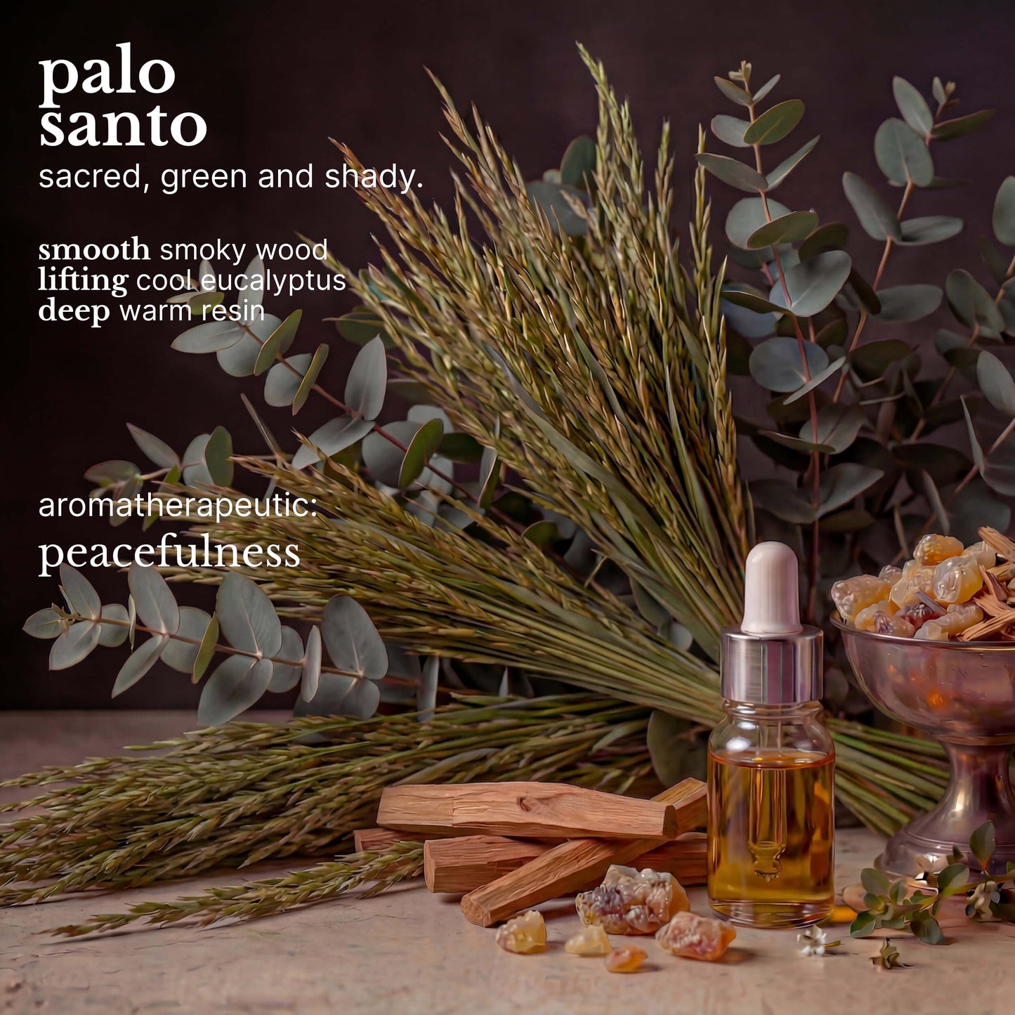 Red Flower Palo Santo Purifying Body Wash – Cleanse & Hydrate Botanical Shower Gel with Organic Fruit & Leaf Extracts for Hydrated, Radiant Skin (10 oz)