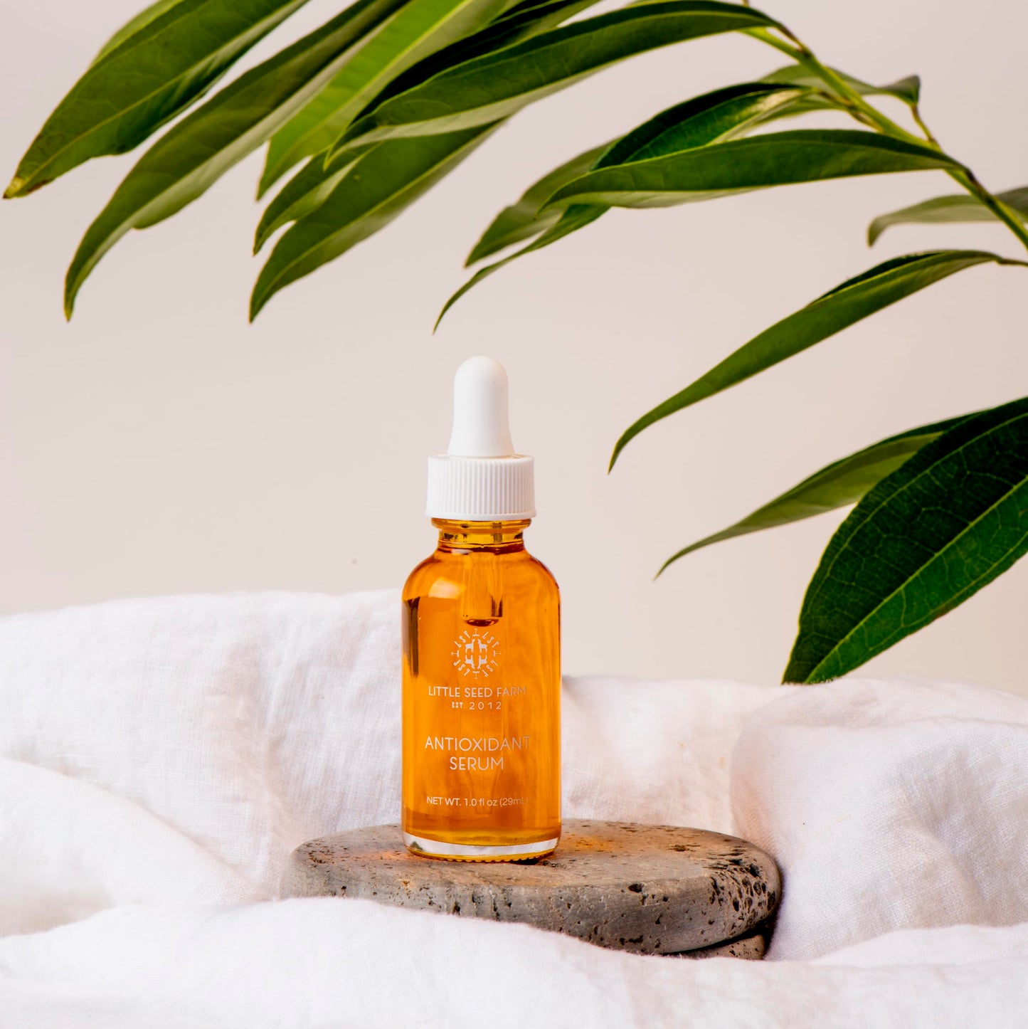 Little Seed Farm - Antioxidant Serum - Antioxidant Facial Serum for Dry & Aging Skin – Nourishing & Revitalizing Face Serum, Net Wt. 1 fl oz