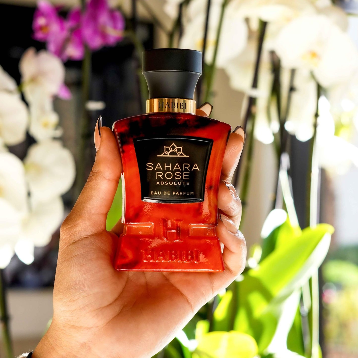 H HABIBI Sahara Rose Absolute Eau de Parfum, Deep Perfume Strength, 75 ml 2.5 fl oz, Luxury Rose Perfume for Men and Women, Long Lasting Arabian Perfume, Made in USA
