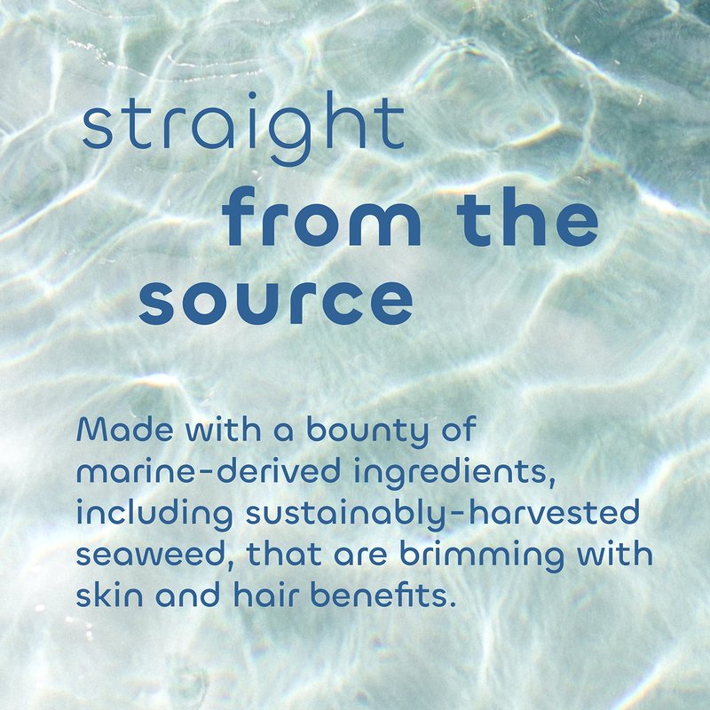 Seaweed Bath Co. Body Wash and Body Cream Duo, 12 Ounce, 6 Ounce, Citrus Vanilla Scent, Sustainably Harvested Seaweed