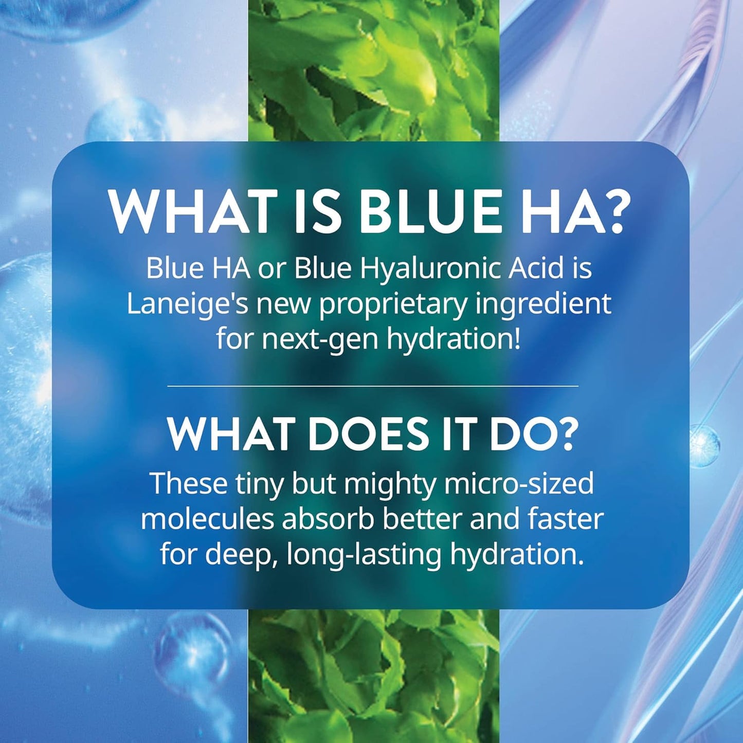 **LANEIGE Water Bank Blue Hyaluronic Serum - Hydrating Face Serum with Peptides & Green Tea for Firm, Radiant Skin**