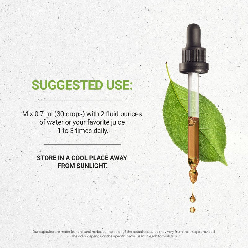 Secrets of the Tribe Garlic Tincture Alcohol-Free Liquid Extract, Garlic Dried Bulb (2 FL OZ)