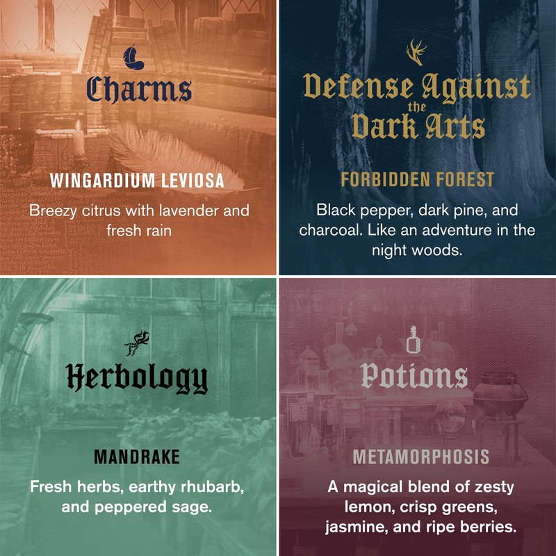 Every Man Jack Harry Potter Collectors Men's Body Wash Gift Set - Includes 4 Body Washes with Clean Ingredients & Hogwarts Inspired Scents - Defense Against the Dark Arts, Charms, Herbology, Potions