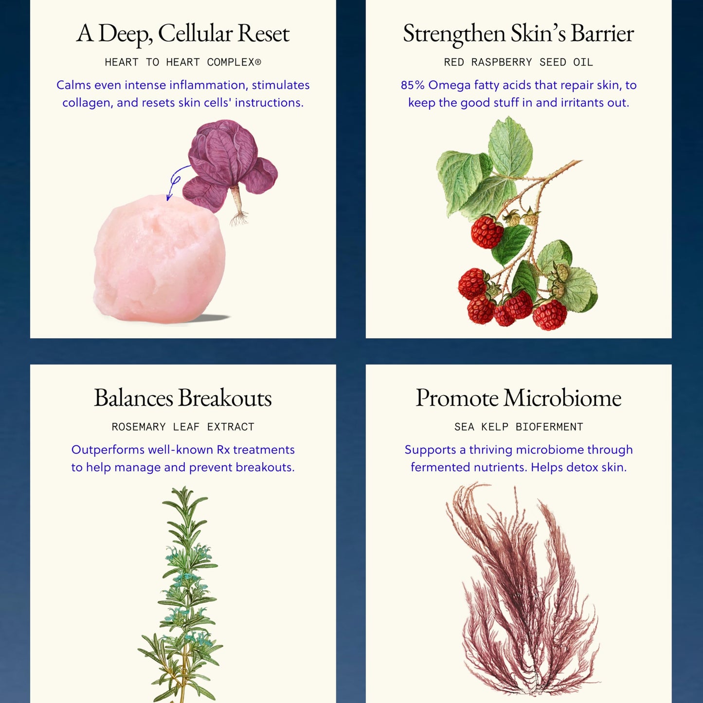 L'AMARUE Eczema Relief Cream | Oil-Balancing Acne & Scar Cream | Helps Improve Psoriasis, Rosacea & Dermatitis Prone, Dry Skin | Root Cause Skincare™ in an Effortless Do-All Essential 1.7oz