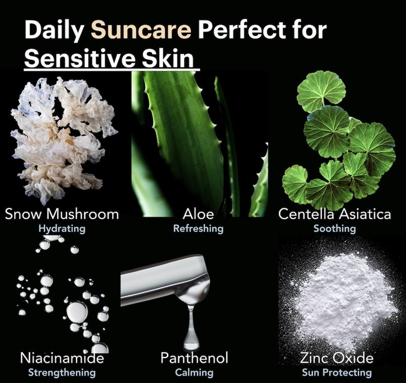 Mineral Invisible Korean Centella Face Sunscreen | No White Cast | Reef Safe | Non-Greasy | For Sensitive Skin | Aloe, Niacinamide, and Panthenol | 50mL | Travel Safe | KOOLSOL by Knours