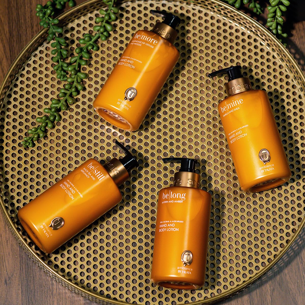 Plant-Based Hand and Body Lotion - Enriched with Baobab Oil & Aloe Vera - 10 Fl Oz | Black Tea & Bergamot Scent