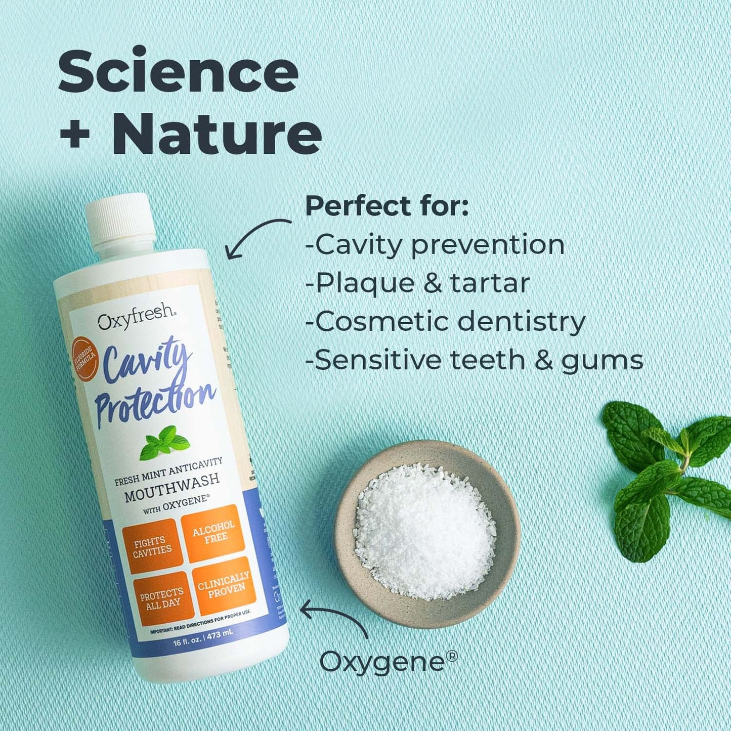Oxyfresh Cavity Protection Fluoride Mouthwash – Anticavity Mouthwash for Sensitive Teeth – Non-Staining, Alcohol Free – Lasting Fresh Breath. 16 oz. (Pack of 2)