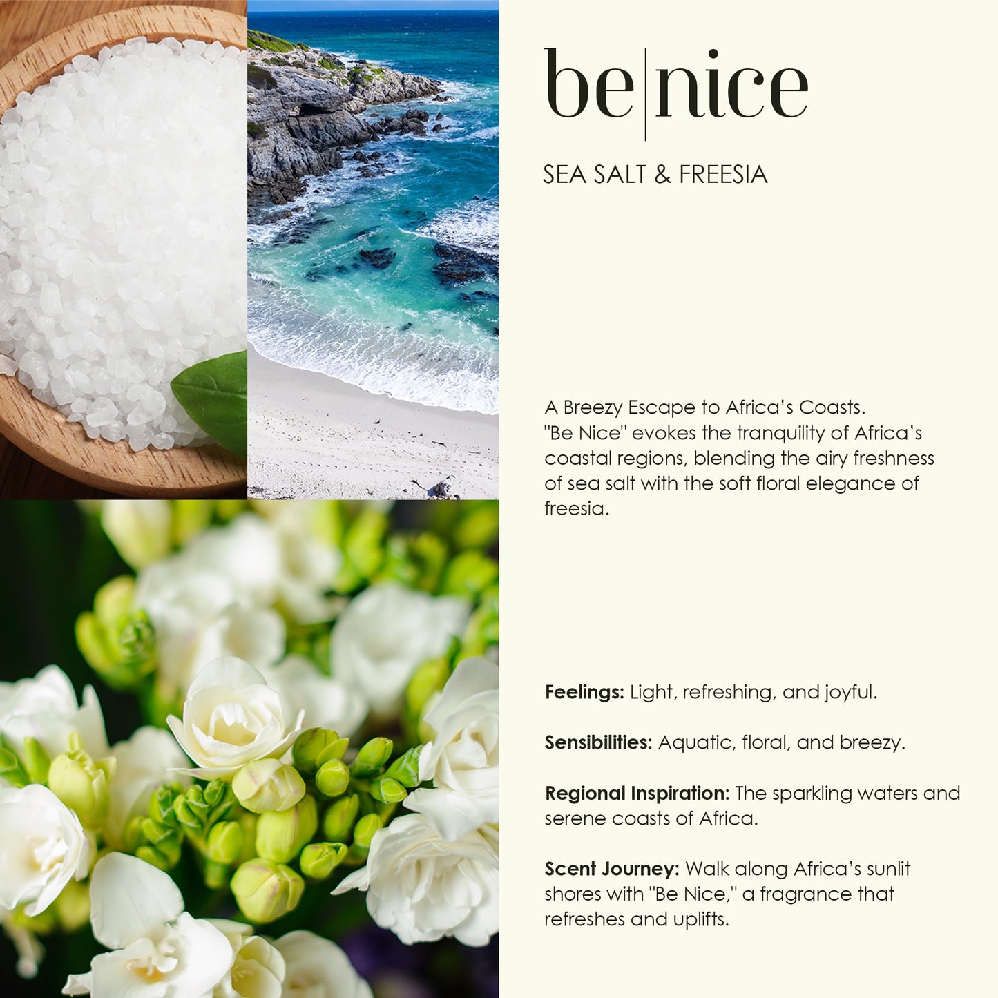 Ambiance by Talata Whipped Salt Scrub – Exfoliating Body Scrub with Himalayan Salt, Shea Butter & Aloe – Smooths, Softens & Hydrates Skin – 10 Fl Oz (BE ZEN | Matcha Tea & Benzoin Resin)