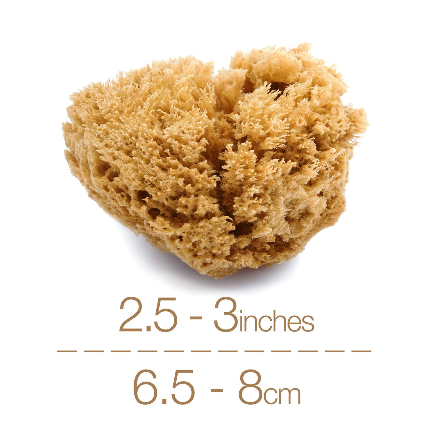 IntimateCare Sea Sponges. Mediterranean Sea Sponges in Plastic Free Packaging - Absolute Quality (Golden Yellow, 2X 6.5-8cm)