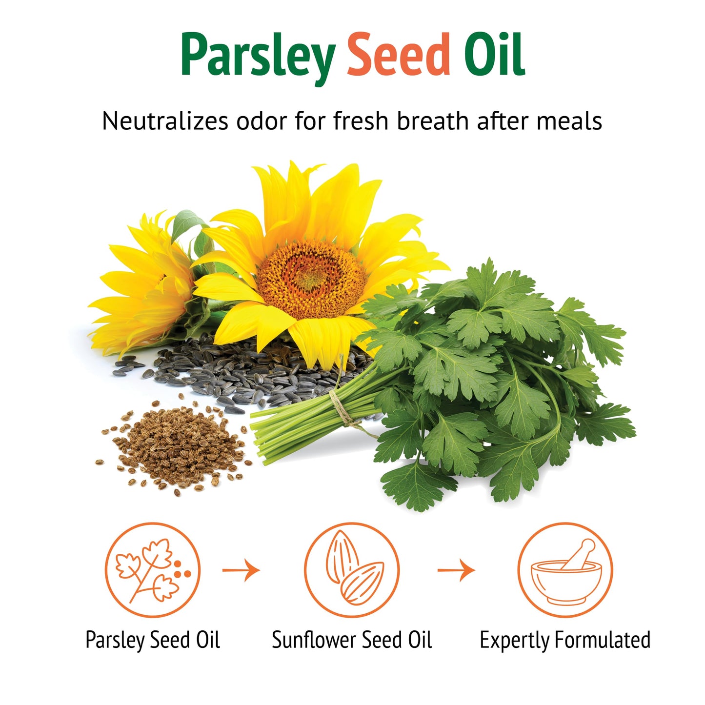 Botanic Choice Parsley Seed Oil-for Bad Breath from Odor-Causing Foods-Odor Neutralizer from Within-Breath Freshener gels-60 Softgels - 2 Pack