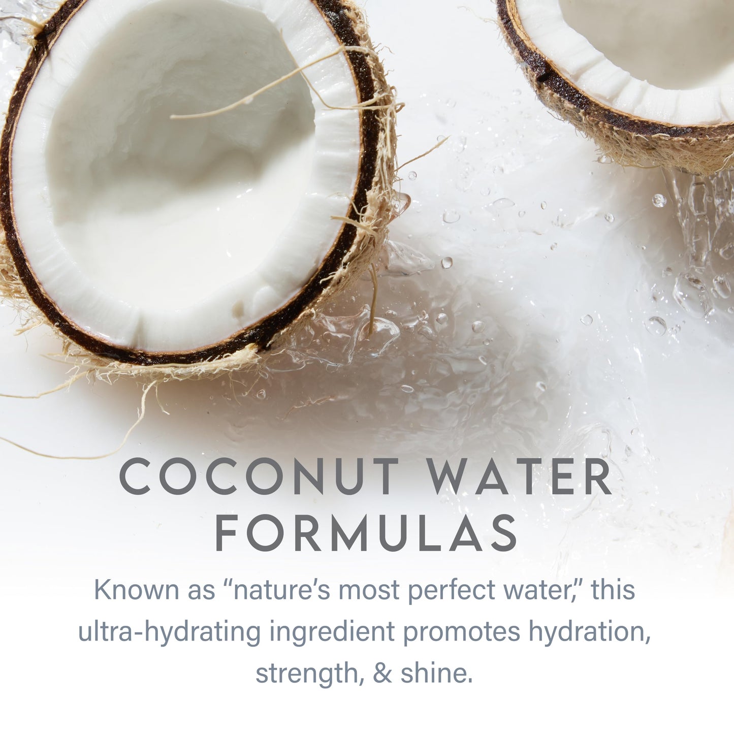 ALURAM Coconut Water Moisturizing Shampoo for Men and Women, Clean Hydration and Shine for Medium to Coarse Textured Hair, 12 Fl Oz
