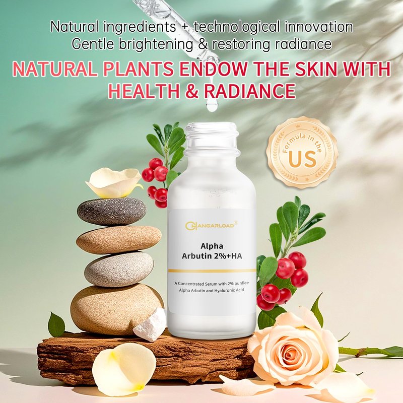 Alpha Arbutin 2% Serum for Dark Spots, Acne Scars, Pore Minimizer, Hydration & Removing Pigmentation - Hyaluronic Acid Serum, 1 Pcs 30 ML- 1 Fl Oz