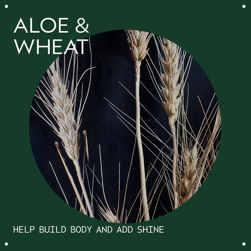 Aveda Volumizing Hair Tonic | Volume Spray for Fine and Medium Hair Types | Build Body + Shine | With Wheat Amino Acids and Certified Organic Aloe | 92% Naturally Derived*, 3.4 Fl Oz